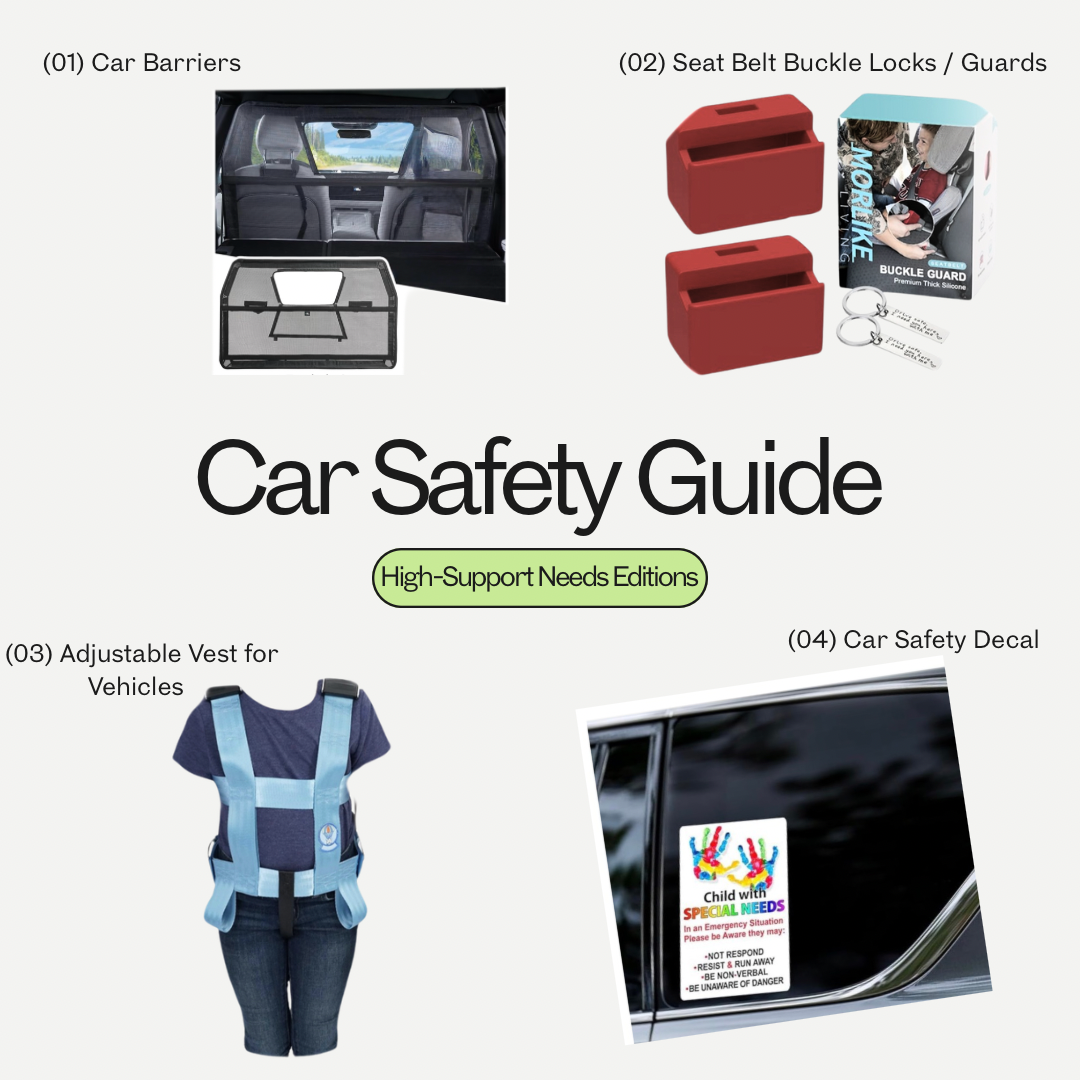 Car Safety Guide: High Support Needs Editions
